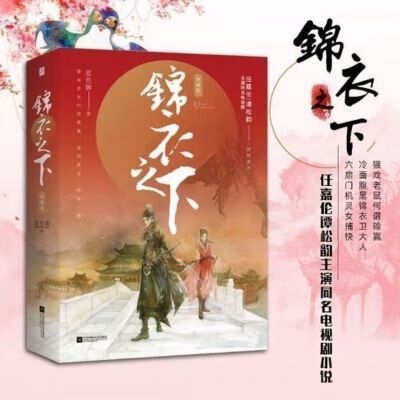 锦衣之下小说续写