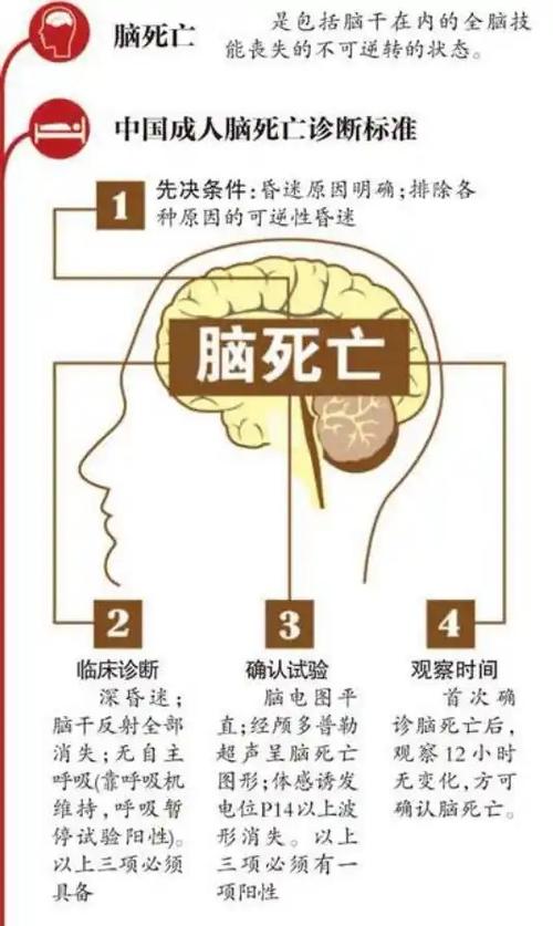 脑死亡还有救治的可能吗