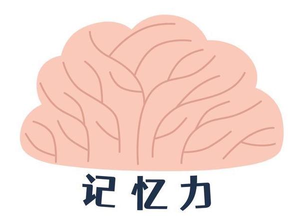 谁在德国最先报告了记忆实验