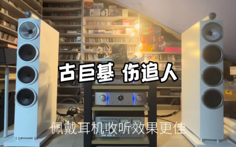 伤追人动漫