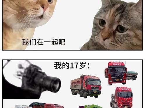 18岁的我和现在的我表情包