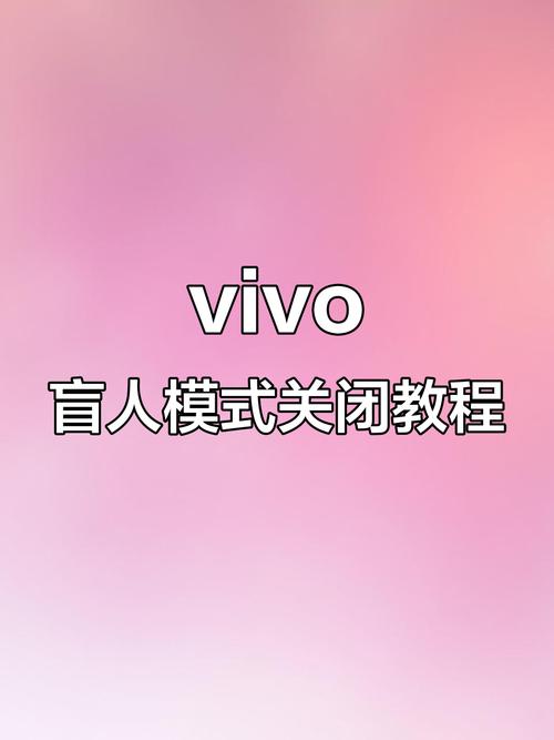 vivo手机解除盲人模式的办法截图