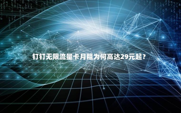 钉钉银卡29无限流量