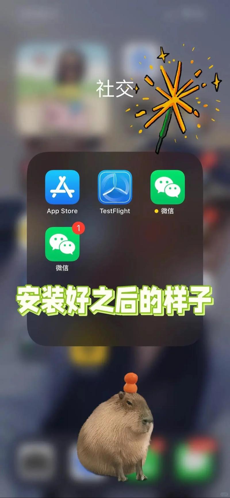 app store搜索