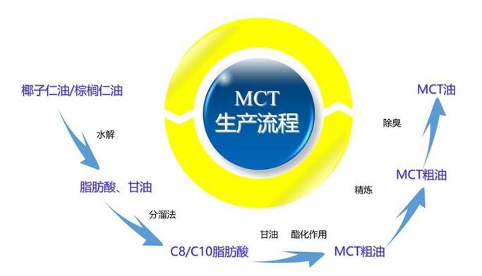 MCT下载