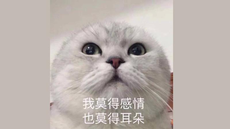 我莫的感情表情包