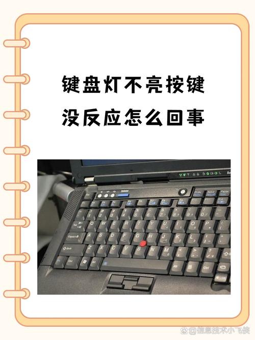 电脑键盘没亮灯怎么办