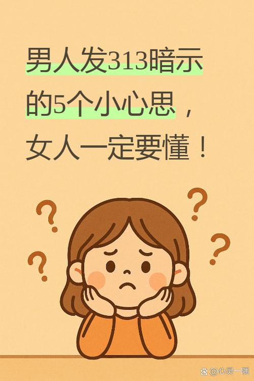 男人说313代表什么意思
