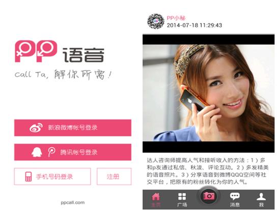 什么叫国内语音