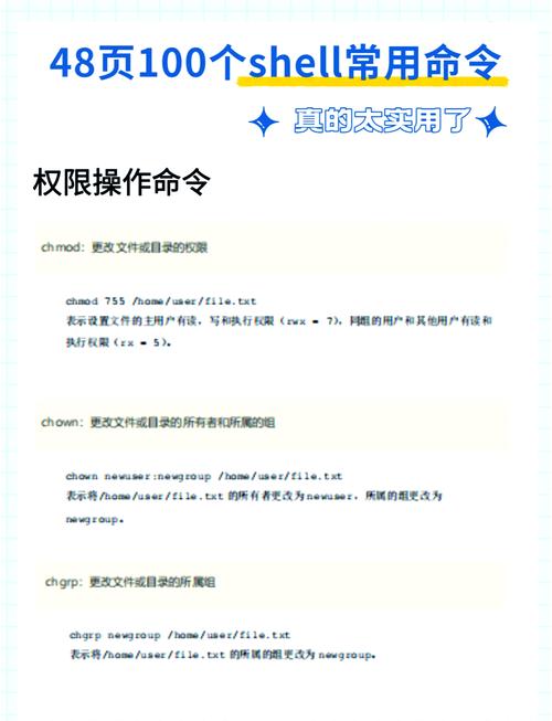 shell常用的命令