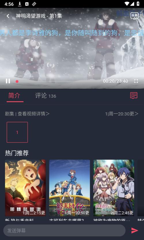 固次元无广告纯净版