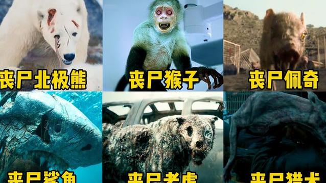 丧尸北极熊