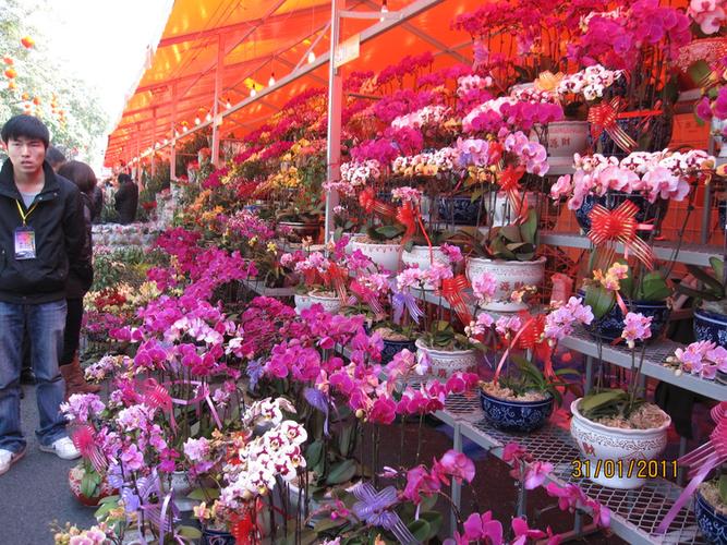 最近花卉市场缩略图