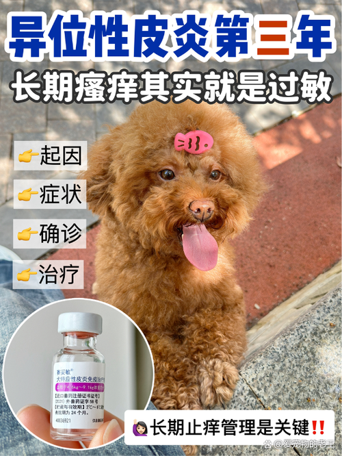 小狗身上痒总挠用什么药呢缩略图