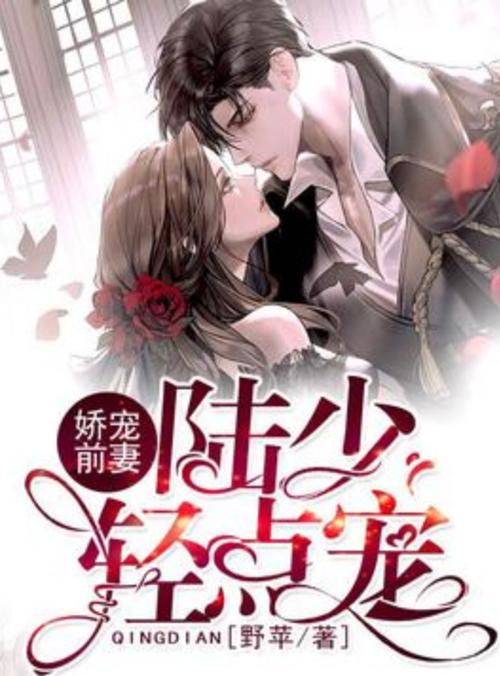 娇宠前妻