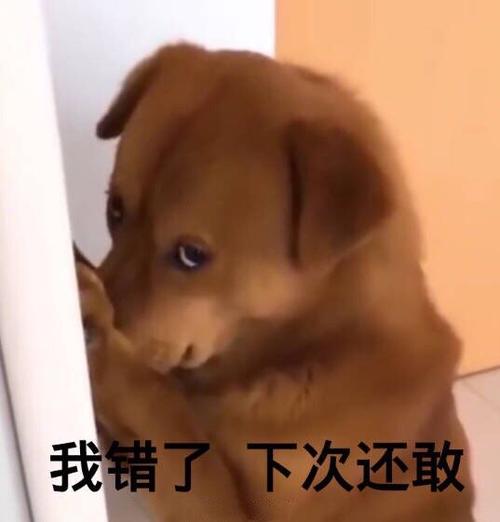 这次我错了下次我还敢图片图标