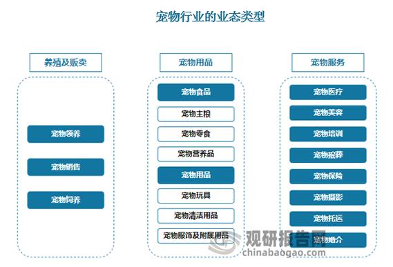 宠物经济有哪些项目