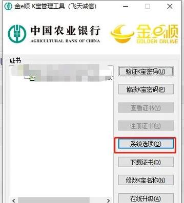 农行网银一输密码就黑屏