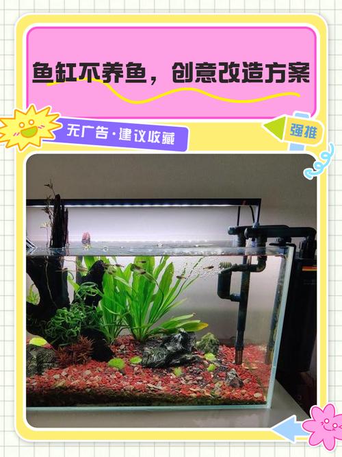鱼缸只放水不养鱼行吗