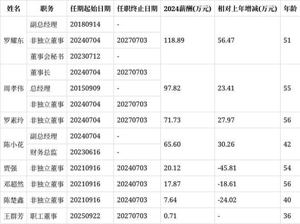 职工董事算高管吗