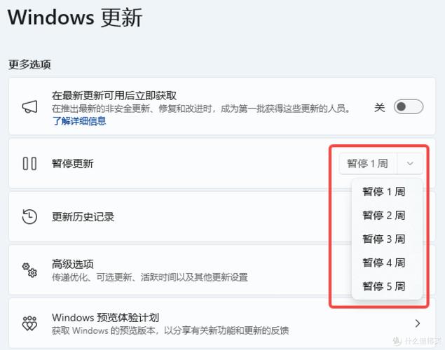 win11怎么设置自动关机