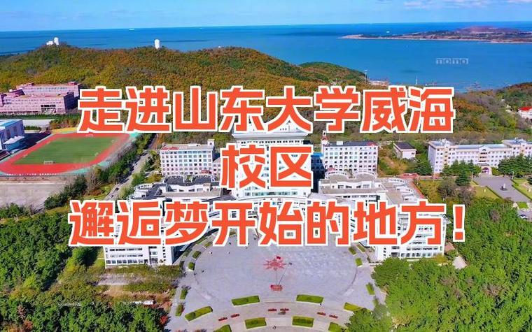 山东大学威海排名全国第几游戏截图