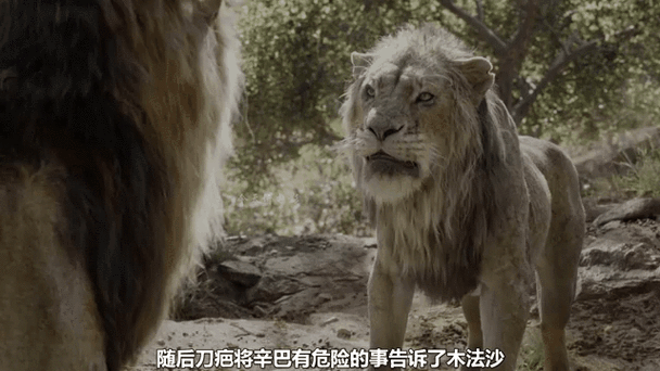 动物世界王了个王装备消除