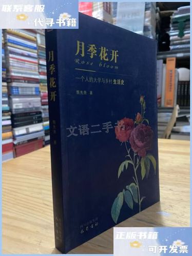 月季花开番外 小说
