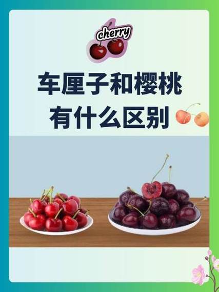 樱桃有什么暗示