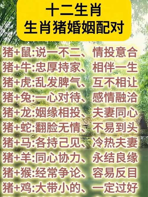 猪和什么属相最配婚姻