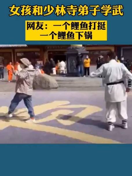 鲤鱼解说逗比游戏