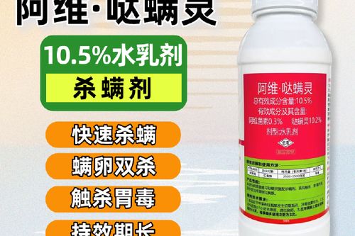 红蜘蛛最怕什么药