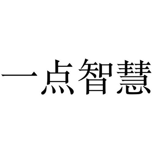 一点智慧软件