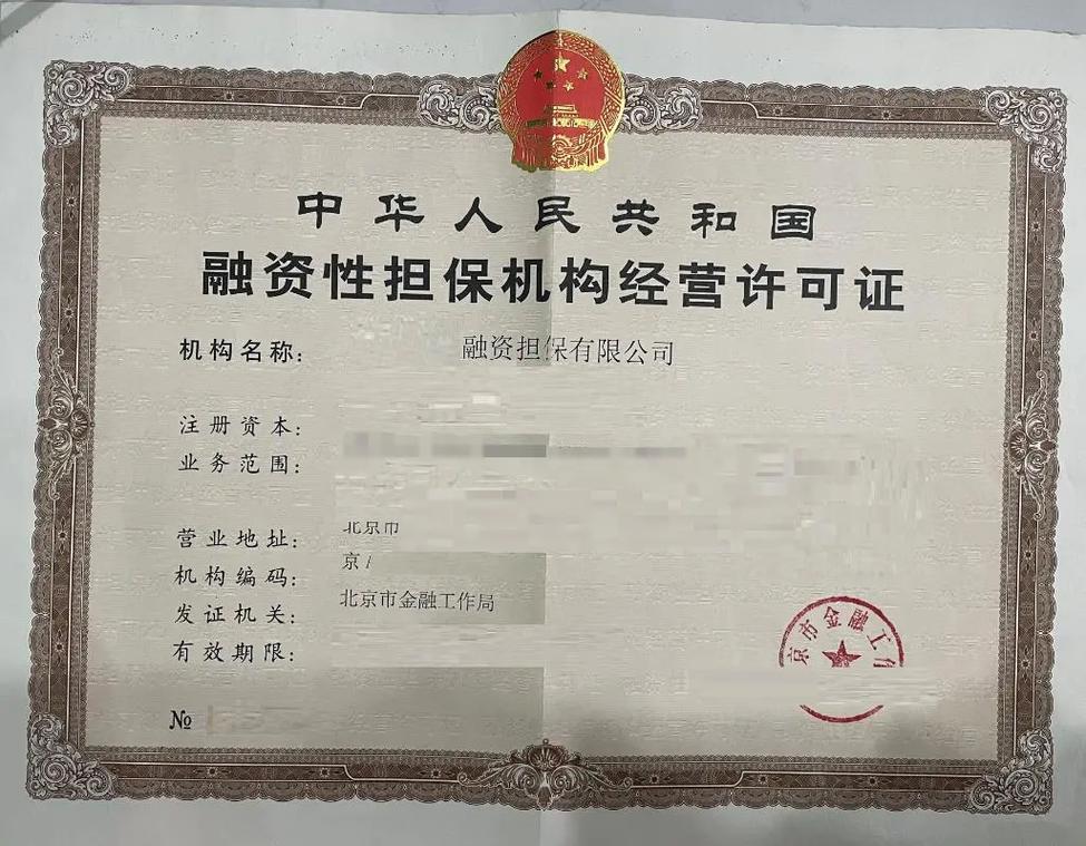 福建永鸿兴融资担保有限公司