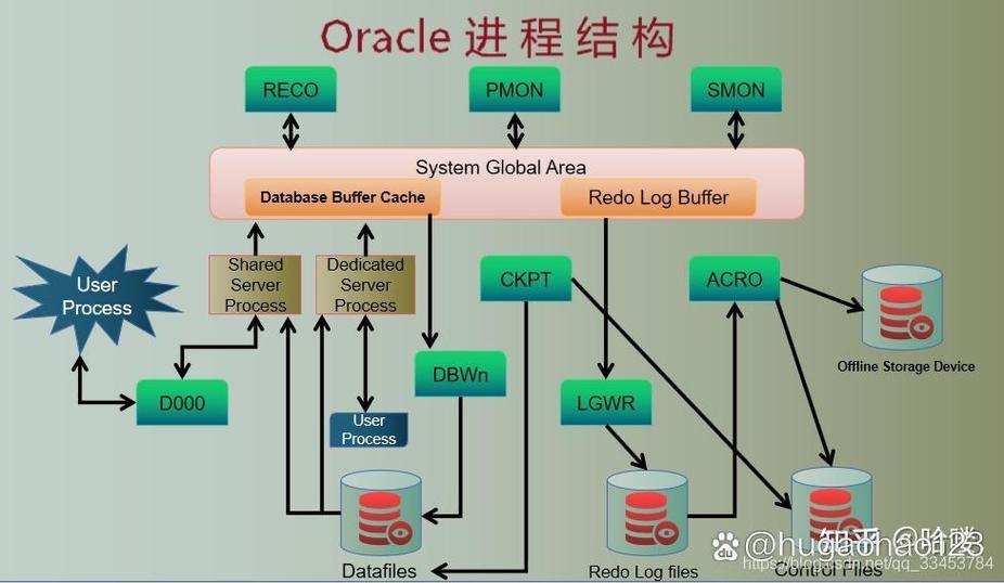 oracle 进程