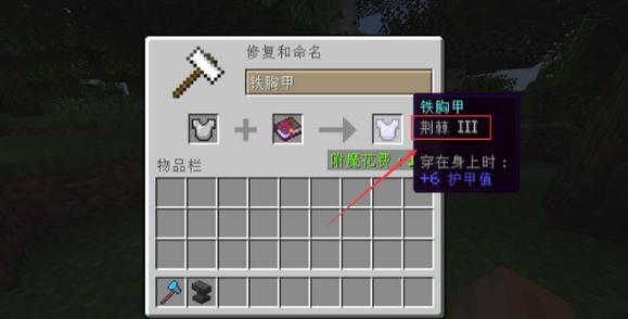 我的世界荆棘和什么冲突