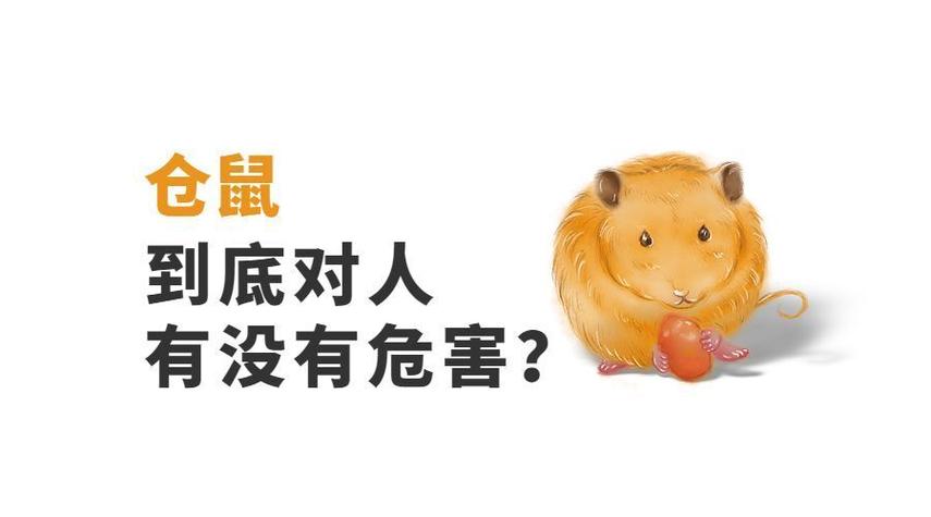 仓鼠会影响人的健康吗