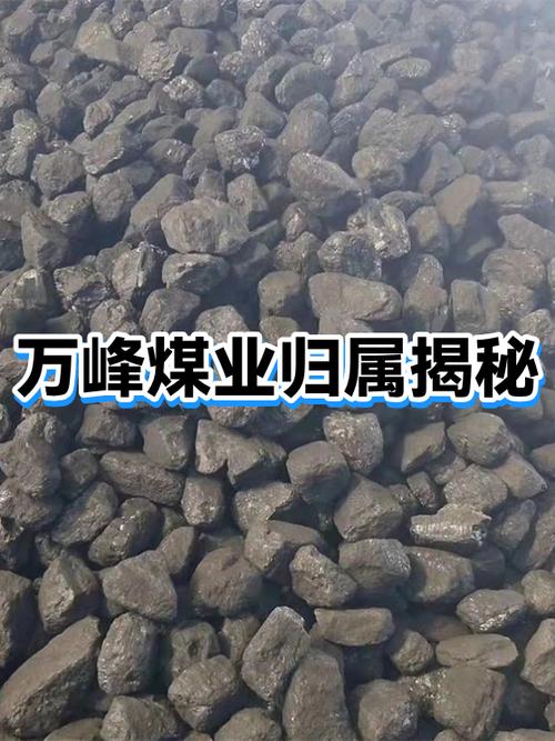 煤矿最新消息今天