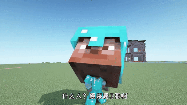 玩MC的人脑子正常吗