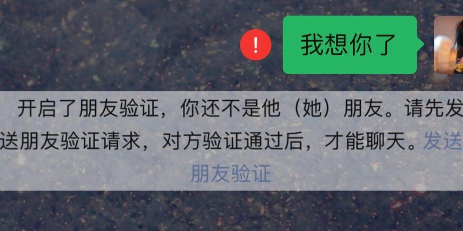 微信被删除后显示的话