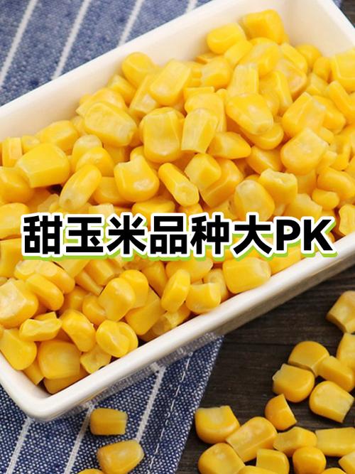玉米种2022海南甜玉米7号品种什么价