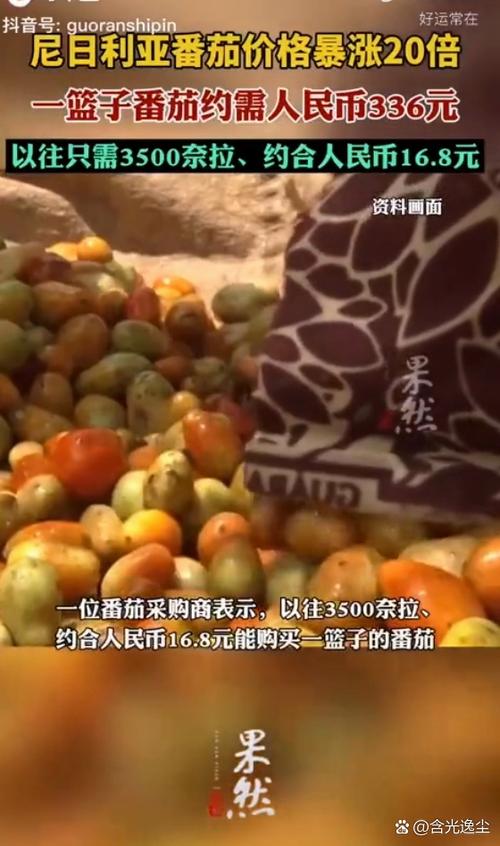 番茄币有什么用