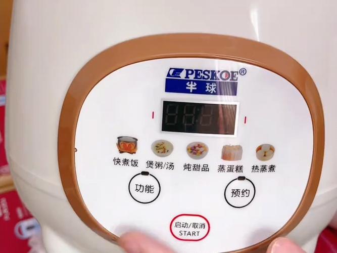 半球电饭煲预约功能使用方法游戏截图