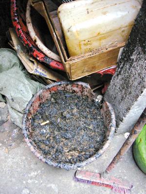 沥青可以用来拔毛吗