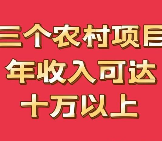 农村赚钱项目