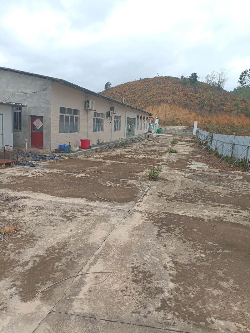 大型养猪基地