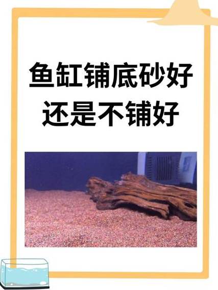 鱼缸里放河沙好还是不放