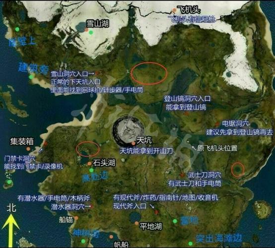森林游戏地图