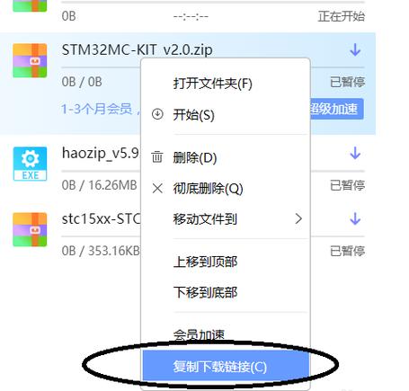 迅雷下载不动一直显示0kb