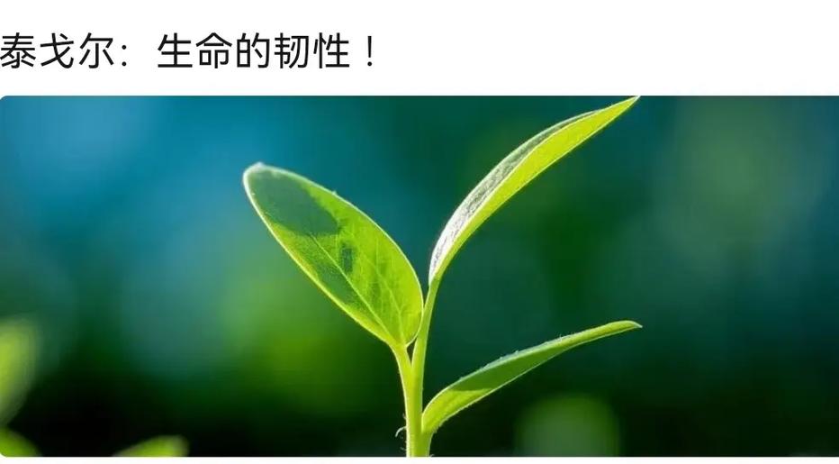 死亡回档